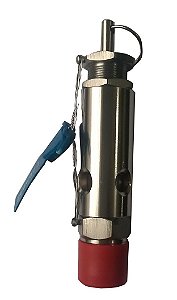 Válvula De Segurança 1/4 Aço Inox Aferida Para 13,3kgf/cm2