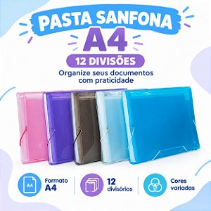 Pasta Sanfona Ofício com 12 divisões ACP