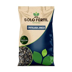 SEMENTES DE CROTALARIA JUNCEA