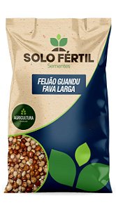 SEMENTES DE FEIJÃO GUANDU FAVA LARGA