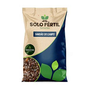 SEMENTES DE SANSÃO DO CAMPO