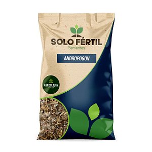 SEMENTES DE CAPIM ANDROPOGON