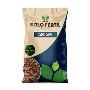 SEMENTES DE CAPIM CORACANA
