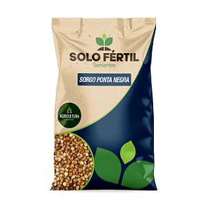 SEMENTES DE SORGO PONTA NEGRA