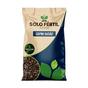 SEMENTES DE CAPIM SUDÃO