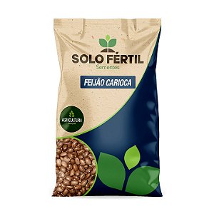 SEMENTES DE FEIJÃO CARIOCA