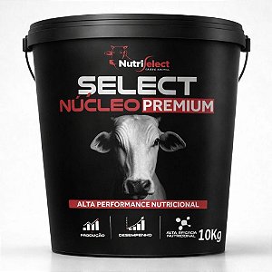 SELECT NÚCLEO PREMIUM - 10KG