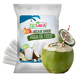 Gelo de Sabor Água de Coco 1 kg