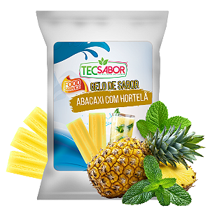 Gelo de Sabor Abacaxi com Hortelã 1 kg