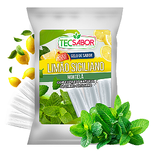 Gelo de Sabor Extrato Natural de Limão Siciliano com Hortelã 1 kg