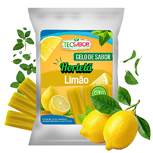 Gelo de Sabor Hortelã com Limão 1 kg