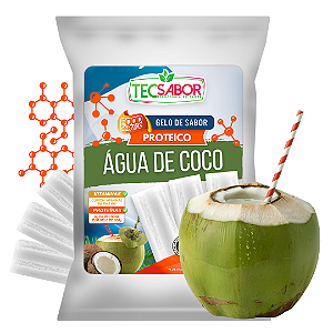 Gelo de Sabor Proteico Água de Coco 1 kg