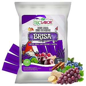 Gelo de Sabor Brisa Blend de Frutas Roxas 1 kg