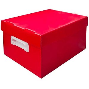 Caixa Organizadora THE BEST BOX G 437X310X240 VM