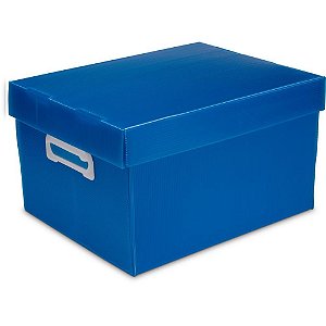 Caixa Organizadora THE BEST BOX G 437X310X240 AZP