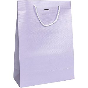 Sacola para Presente Lisa Fashion M 27X21X10 TEXT. (S) PCT.C/10