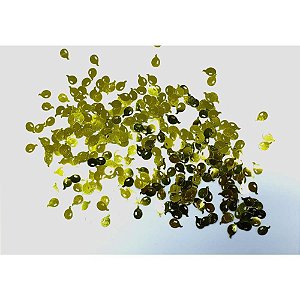 Artigo para Decoracao Confetti Baloes PARTY 20G PCT.C/12