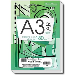 Bloco Tecnico sem Margem Desenho A-3 180G.20FLS.BRANCO PCT.C/05