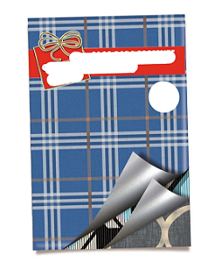 Saco Metalizado 45X60CM Masculino MIX Sortidos PCT.C/25