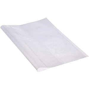 Capa para Caderno Diario PROF. TRANSP. 31,5X44CM PCT.C/50