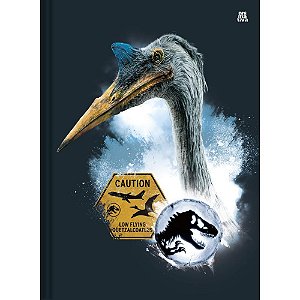 Caderno Brochura 1/4 Capa Dura Jurassic PARK 80F PCT.C/05