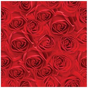 Saco Metalizado 60X90CM Feminino Sortido 58X89CM. PCT.C/25