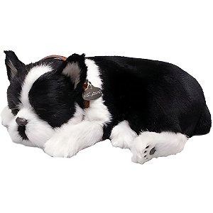 Perfect PETZZZ Filhote Cachorro Buldog Frances