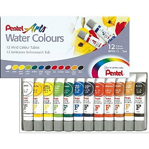 Tinta Acrilica Water Colours 12 Cores Estojo