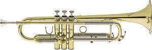 Trompete (Bb) Eagle corpo laqueado (NOVO) #TR504