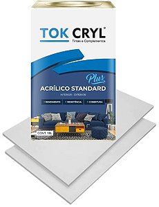 Tinta Acrílica Branco direto no Gesso TOK GESSO
