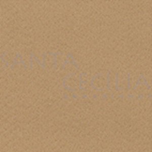 Feltro para Artesanato 50x70cm 180g - Caramelo Havaí