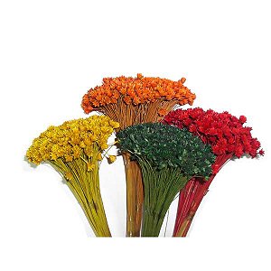 Espeta Nariz Flor Seca para Decoração
