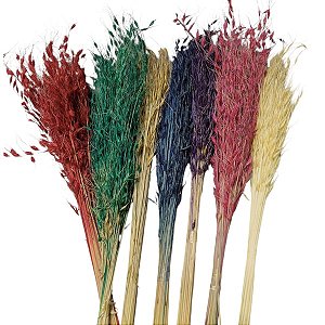 Kit Capim Brinco - Flor Seca Decorativa - 10 unid.