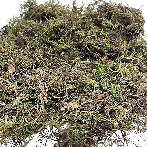 Musgo 400g