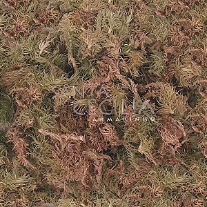 Musgo Sphagnum 300g