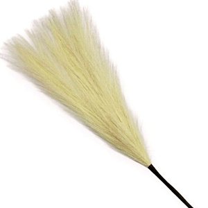 Haste dos Pampas 9165-13
