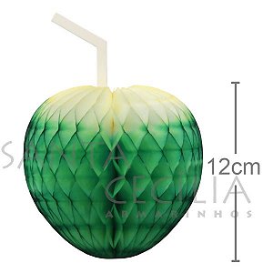 Enfeite de Papel Coco da Bahia 12cm - Ref. 222
