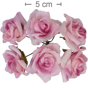 Rosa EVA M Ref. 0002 - 6 unid - Pink