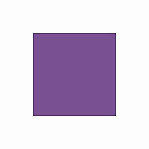 Sintex Cor 40g - 25 Violeta