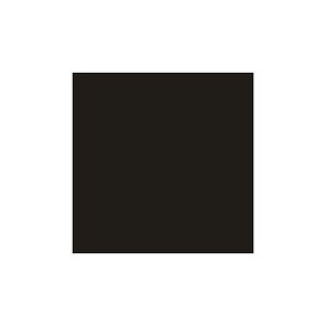 Tingecor 40g. 31 Preto