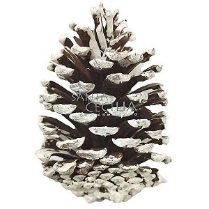 Pinha Natural Natalina Pintada 10cm - 1 unidade