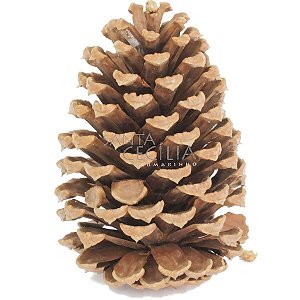 Pinha Natural Natalina 10cm - 1 unidade
