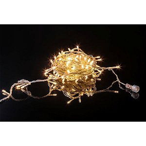 Pisca Fixo LED 100 lâmpadas - Branco Morno Ref. 1022