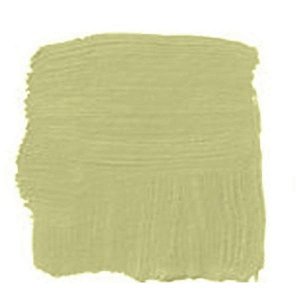 Tinta Chalk Paint Acrilex 100ml - 839 Moscatel