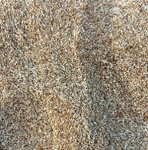 Psyllium