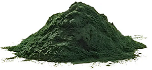 Spirulina em Pó