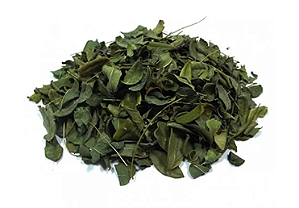 Chá de Folha de Moringa
