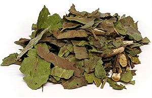 Chá Verde