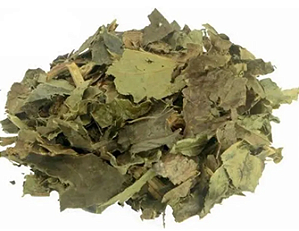 Chá de Guaco