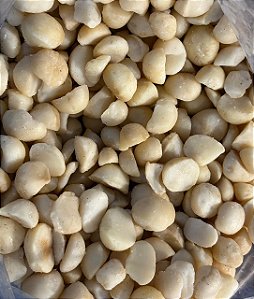 Macadamia torrada sem sal